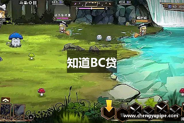 知道BC贷